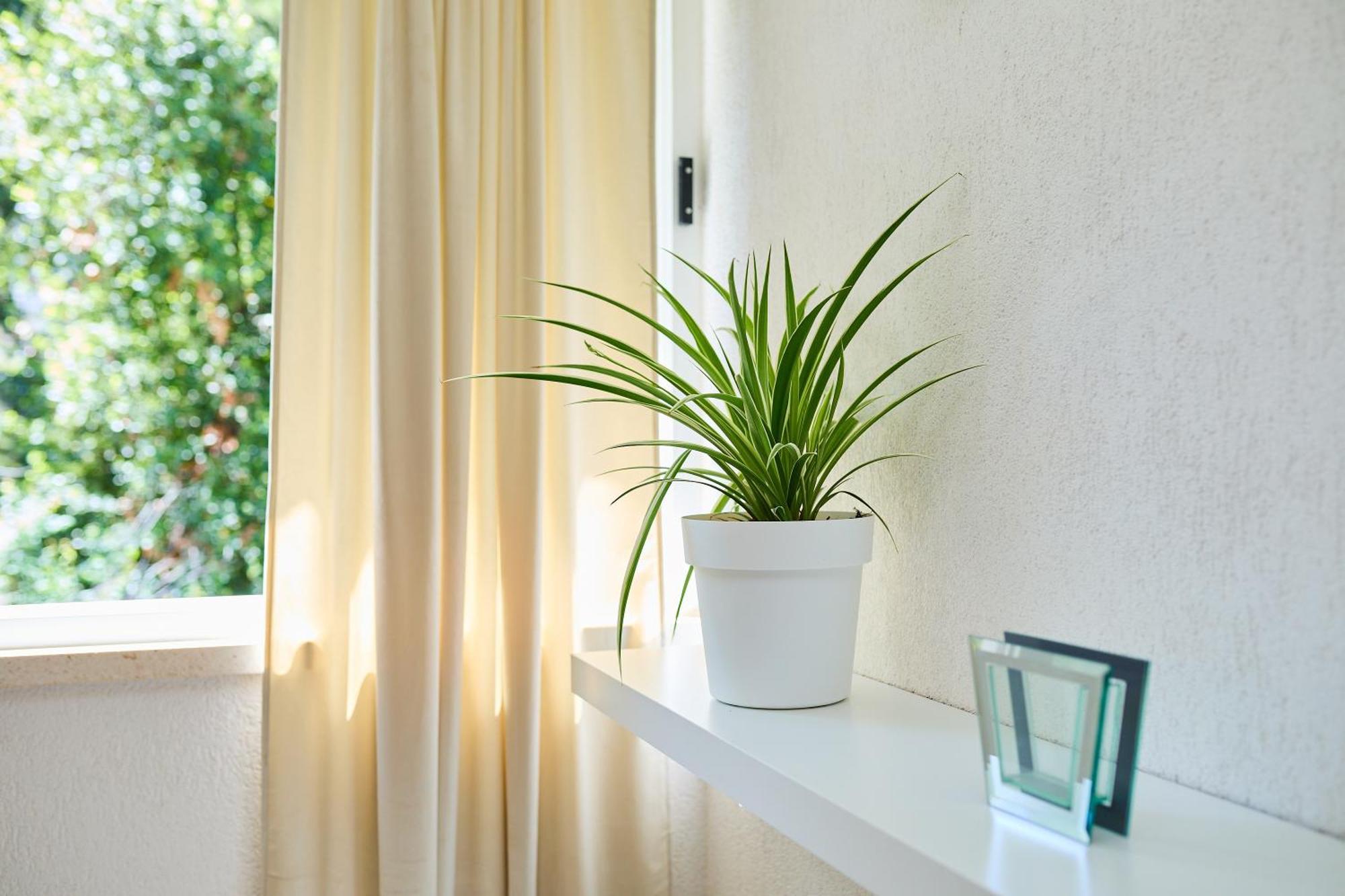 Apartment Promenada- 4Pax With Parking ดูบรอฟนิก ภายนอก รูปภาพ